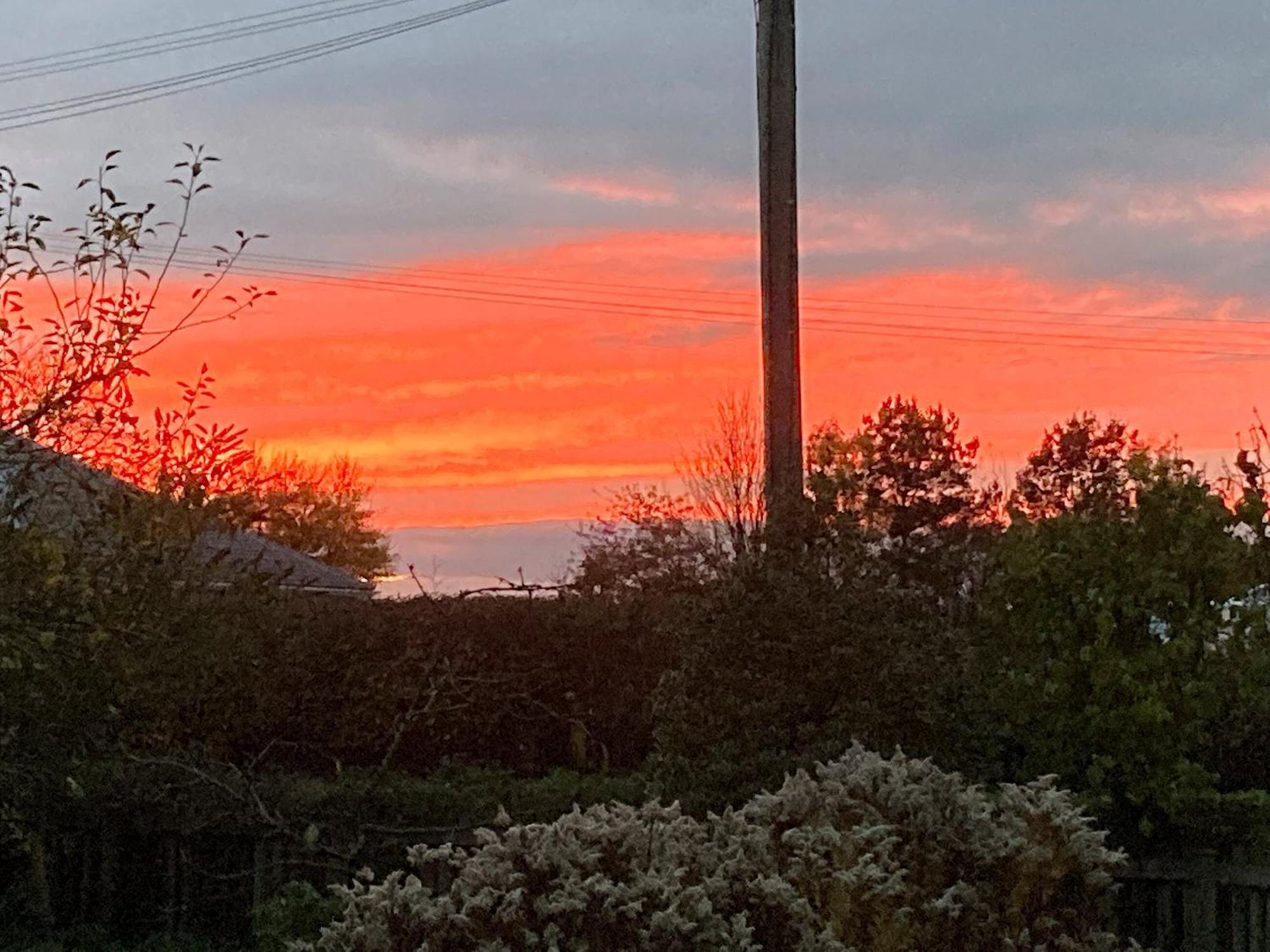 Bee Cottage East Lydford ภายนอก รูปภาพ